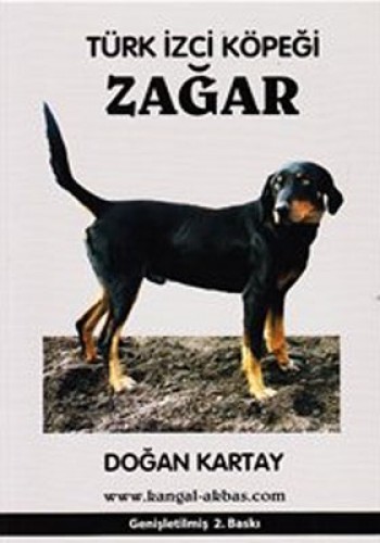 TÜRK İZCİ KÖPEĞİ ZAĞAR